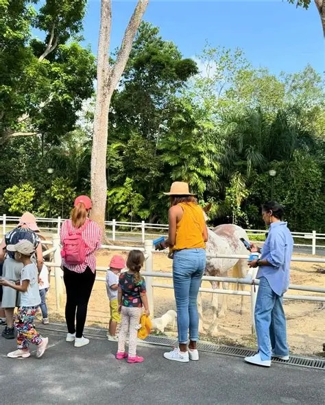 Gallop Stable 骑小马