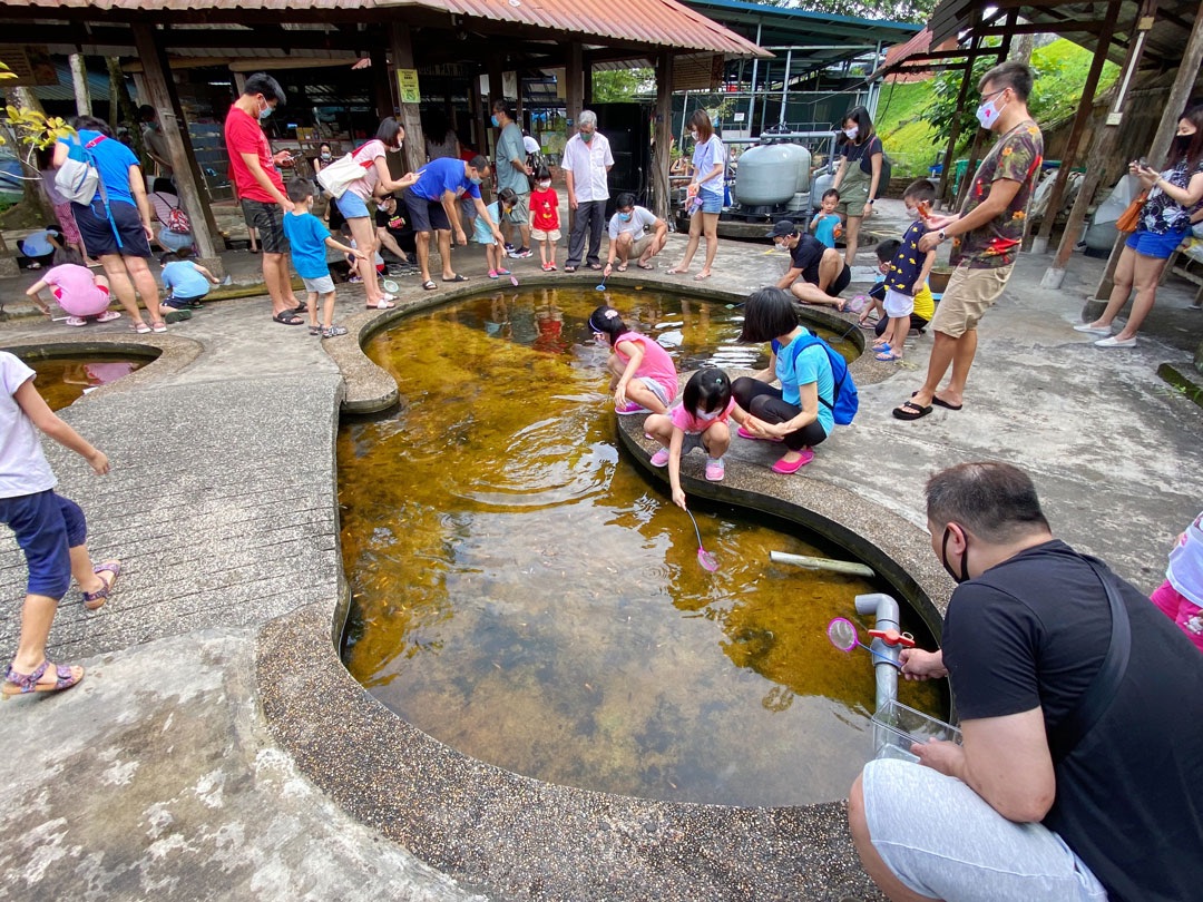 Qian Hu Fish Farm